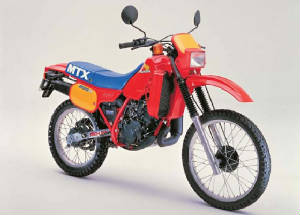 mtx200198384.jpg